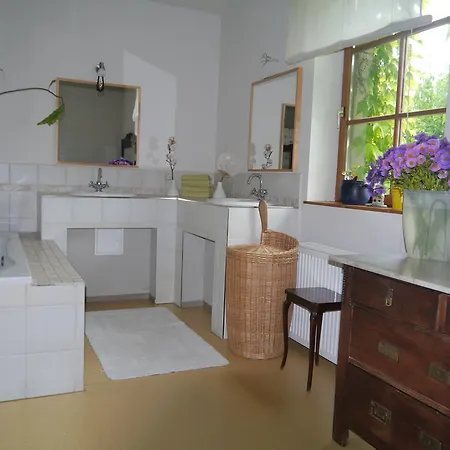 Haus Vincent Stralsund Ferienwohnungen Mit Eigenen Parkplaetzen Esterno foto