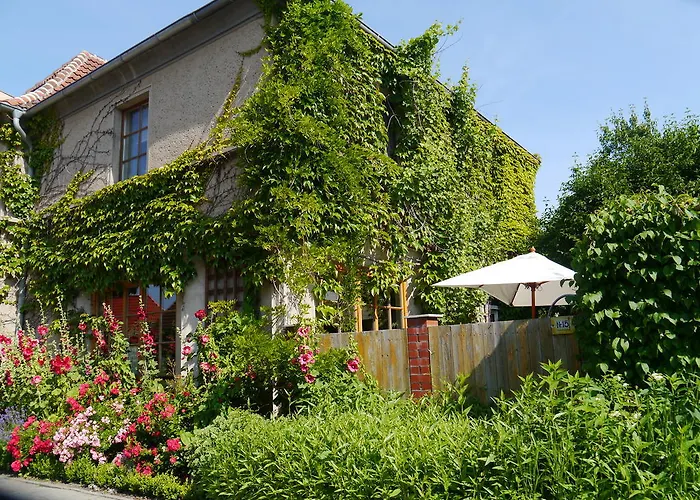 Haus Vincent Stralsund Ferienwohnungen Mit Eigenen Parkplaetzen