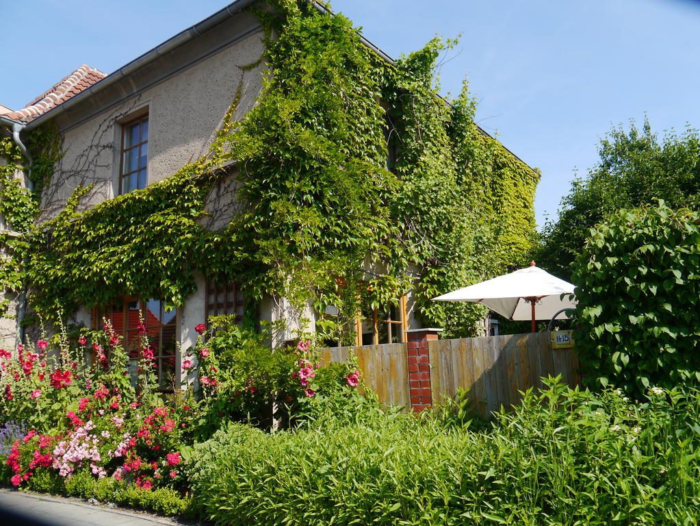 Haus Vincent Mit Eigenen Parkplaetzen