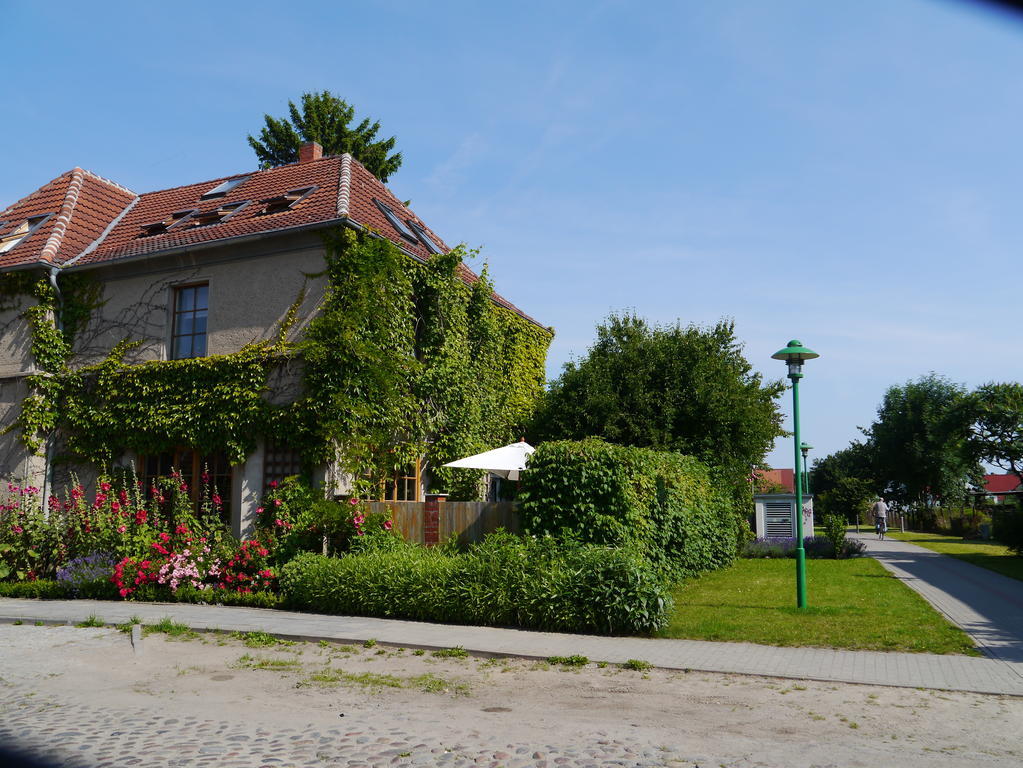 Appartement Haus Vincent Mit Eigenen Parkplaetzen *